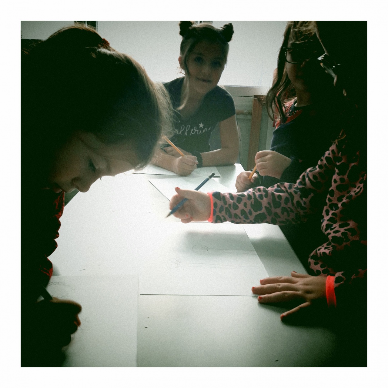 IMG_0141bis IMG_0141bis