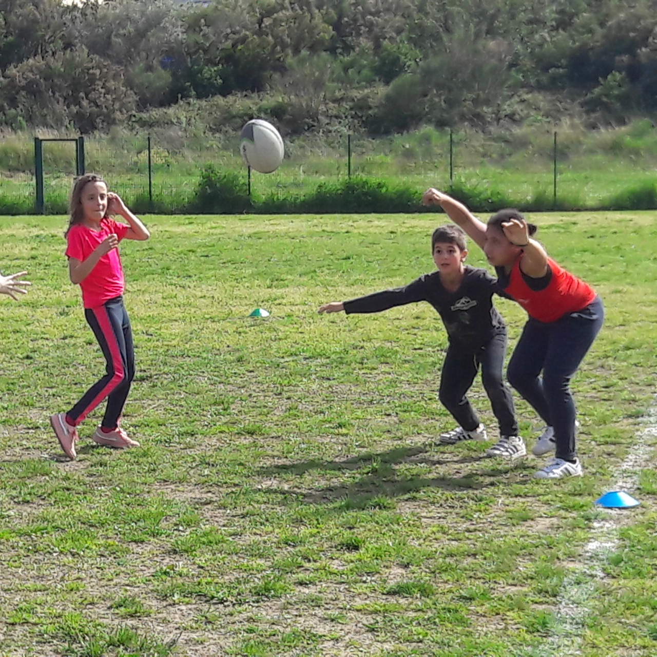 20180417_154618 20180417_154618