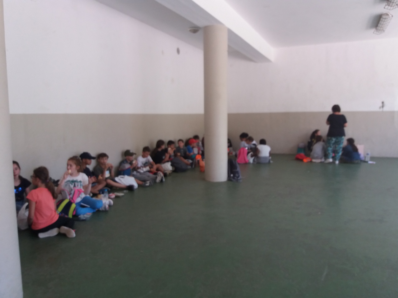 20180518_125943 20180518_125943