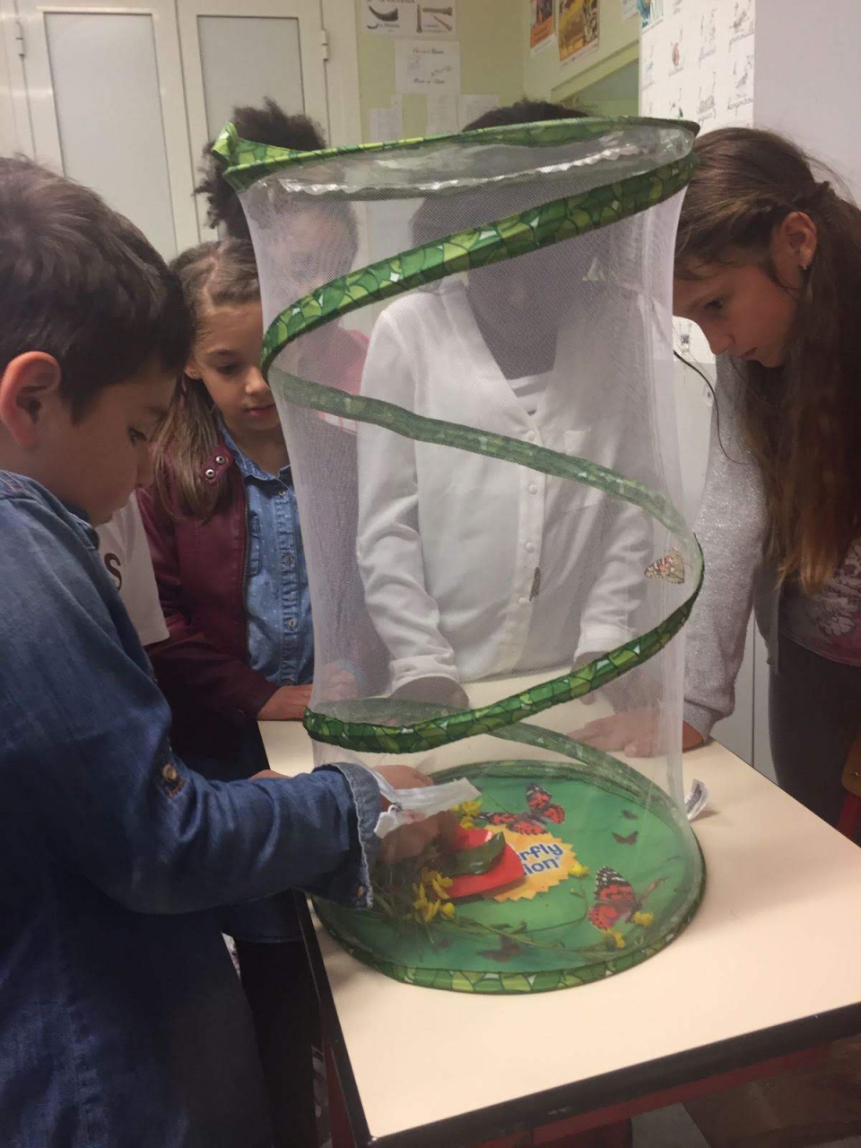 IMG-20180528-WA0002 IMG-20180528-WA0002