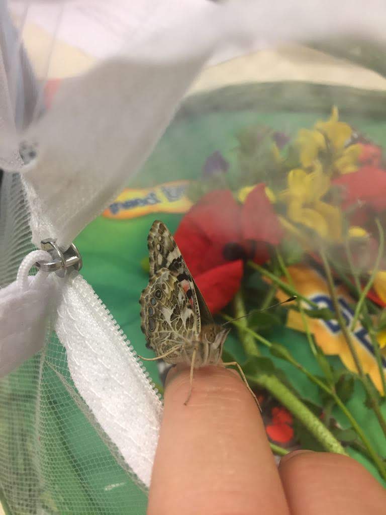 IMG-20180528-WA0010 IMG-20180528-WA0010