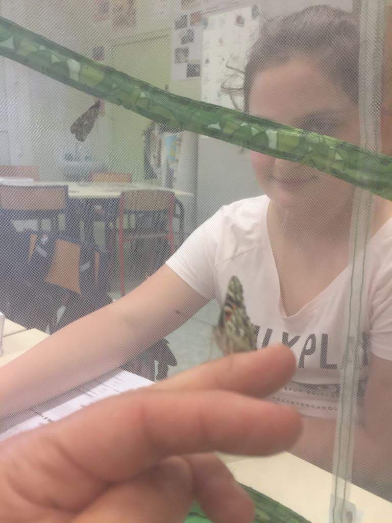 IMG-20180528-WA0011 IMG-20180528-WA0011