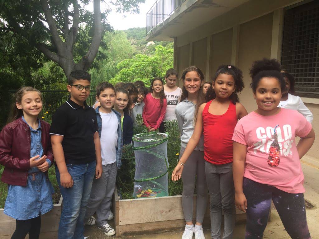 IMG-20180528-WA0016 IMG-20180528-WA0016