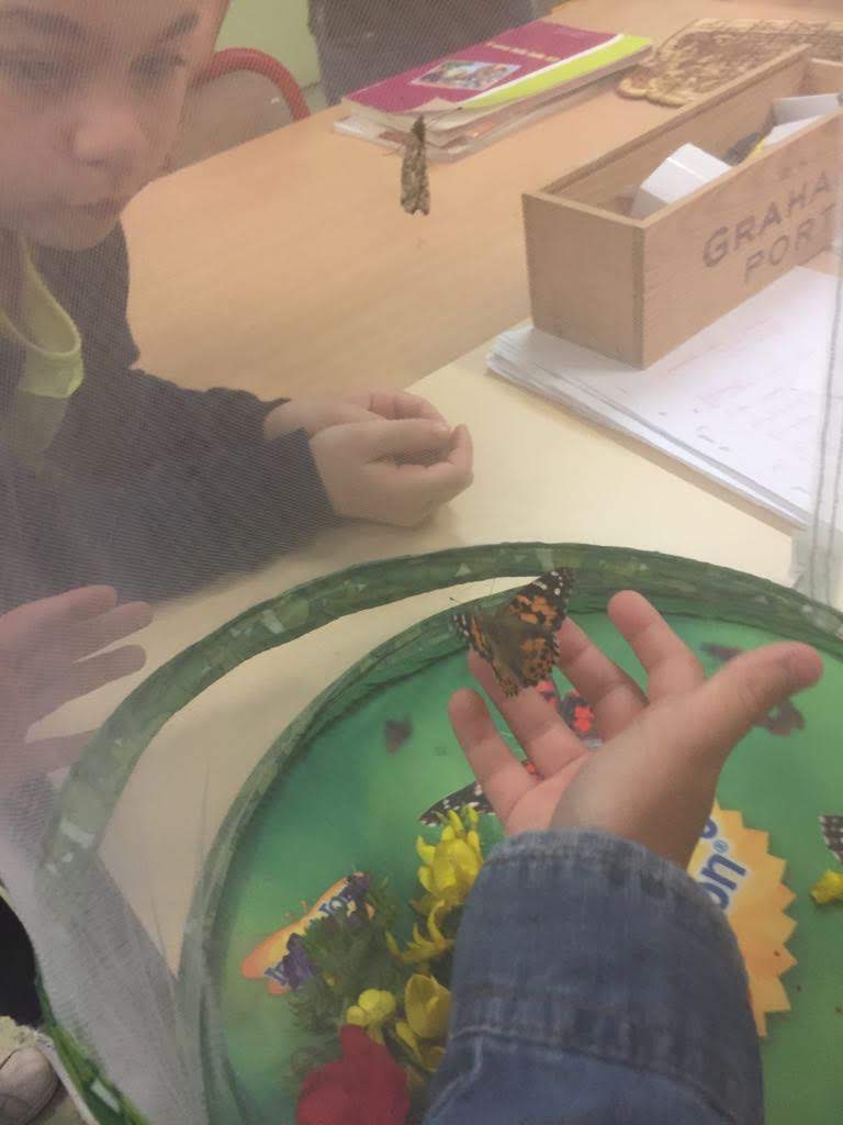 IMG-20180528-WA0019 IMG-20180528-WA0019