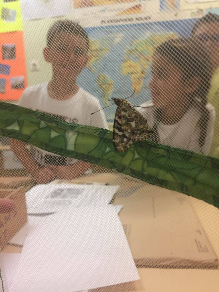 IMG-20180528-WA0021 IMG-20180528-WA0021