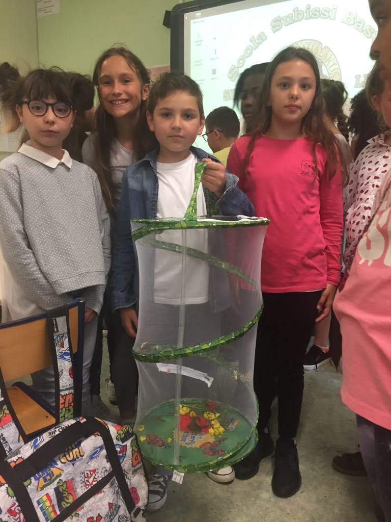 IMG-20180528-WA0024 IMG-20180528-WA0024