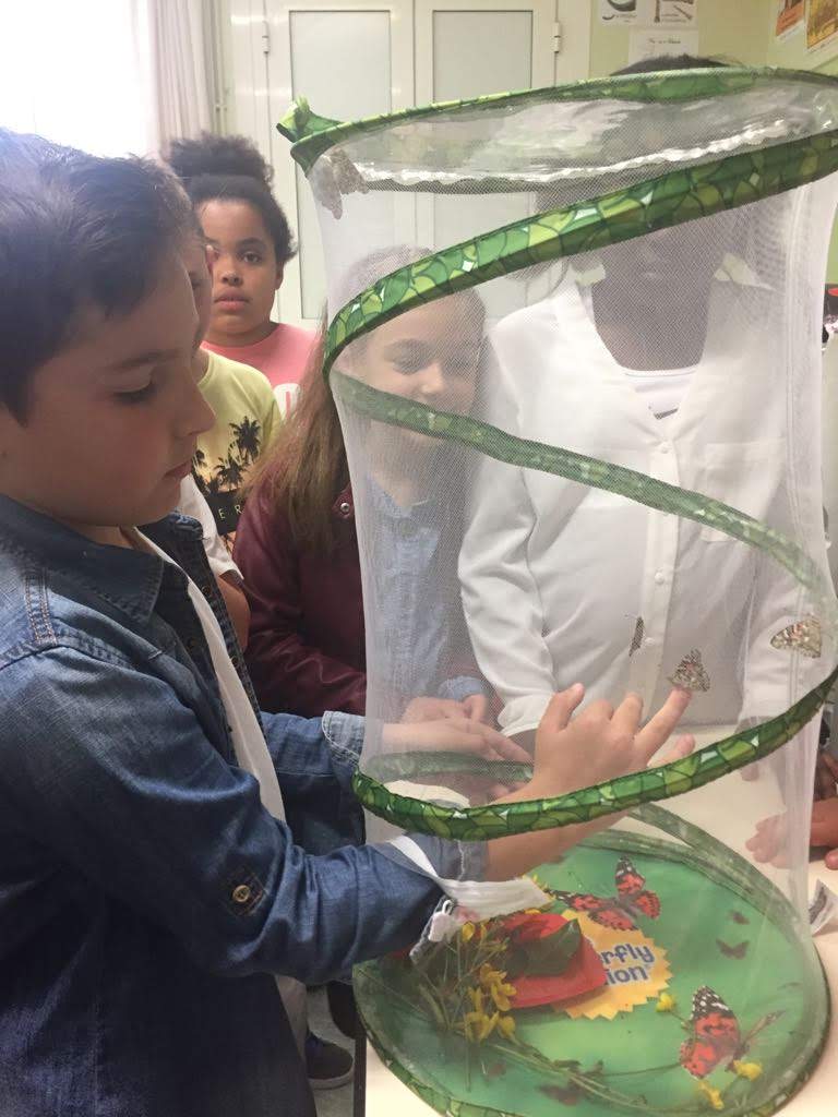 IMG-20180528-WA0027 IMG-20180528-WA0027