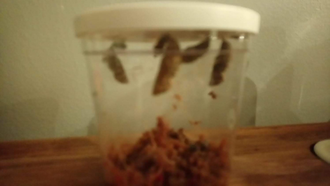 IMG-20180528-WA0034 IMG-20180528-WA0034