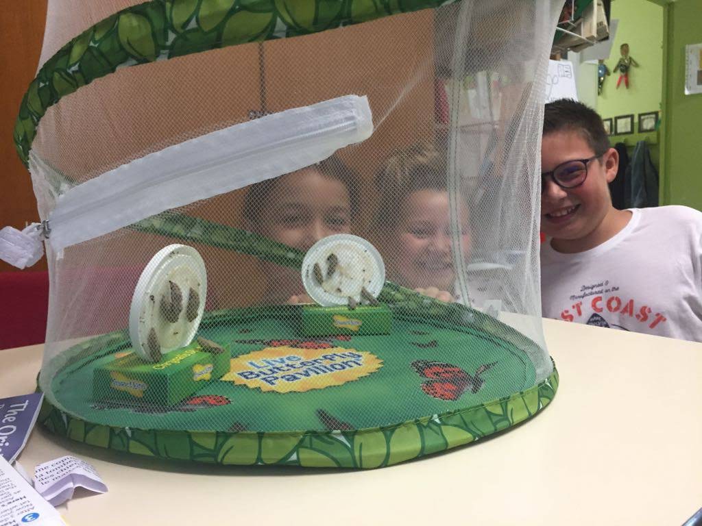 IMG-20180529-WA0000 IMG-20180529-WA0000