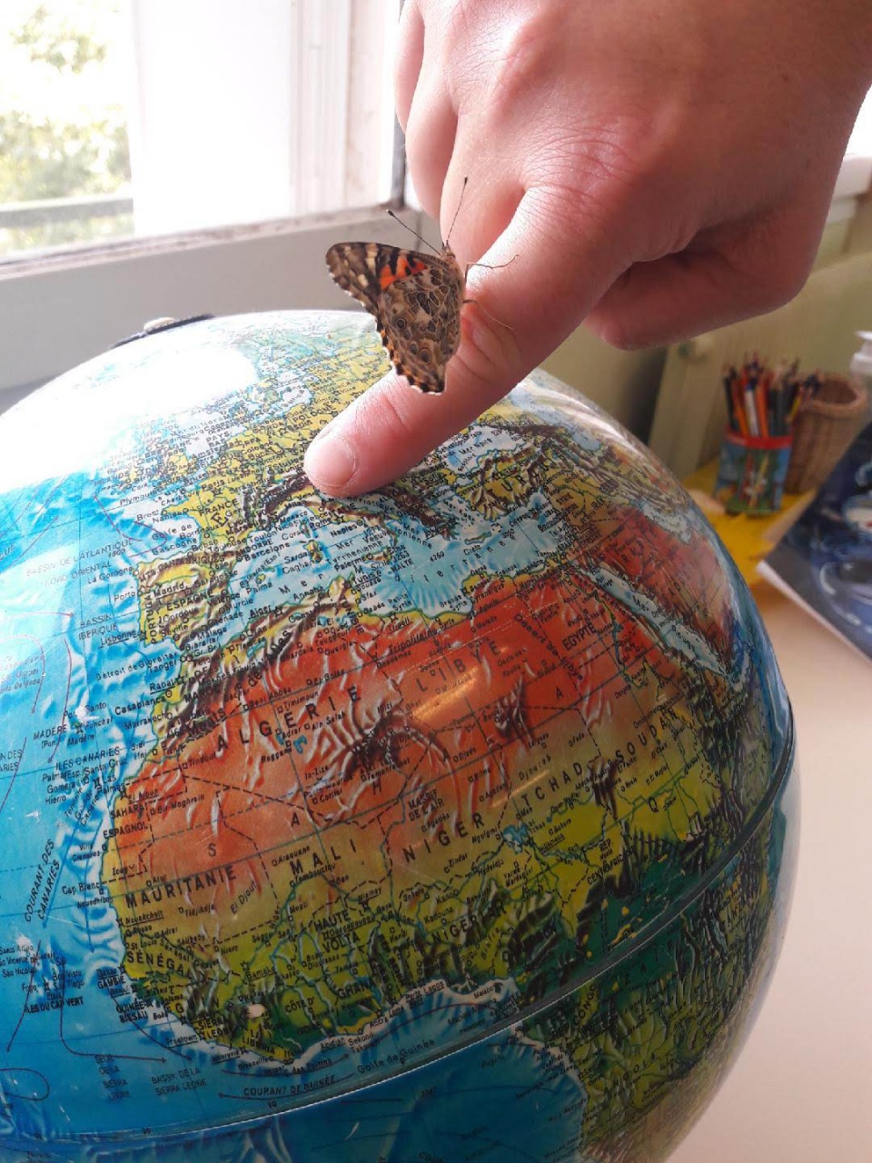 Resized_20180607_103015 Resized_20180607_103015