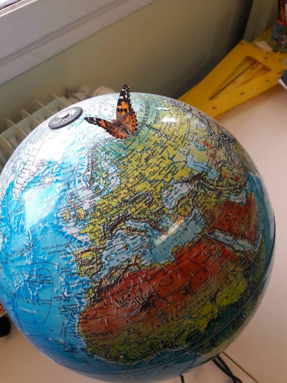 Resized_20180607_103053 Resized_20180607_103053