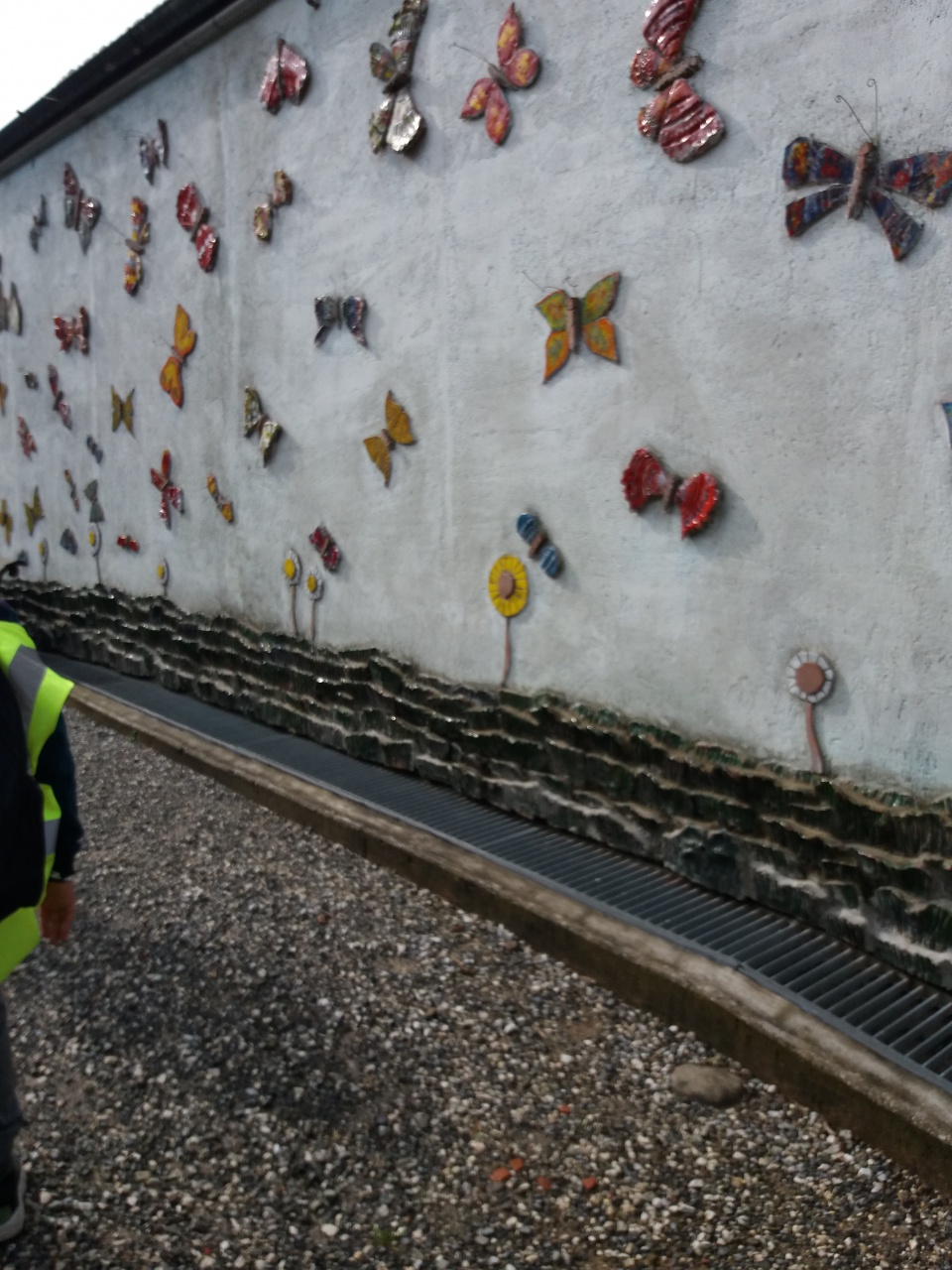 20180410_095615 20180410_095615