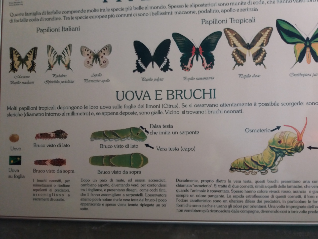 20180410_095810 20180410_095810