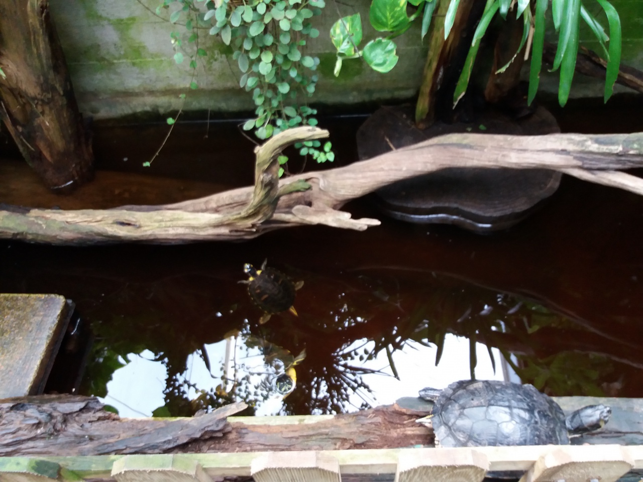 20180410_100623 20180410_100623