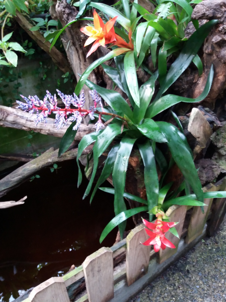 20180410_100629 20180410_100629