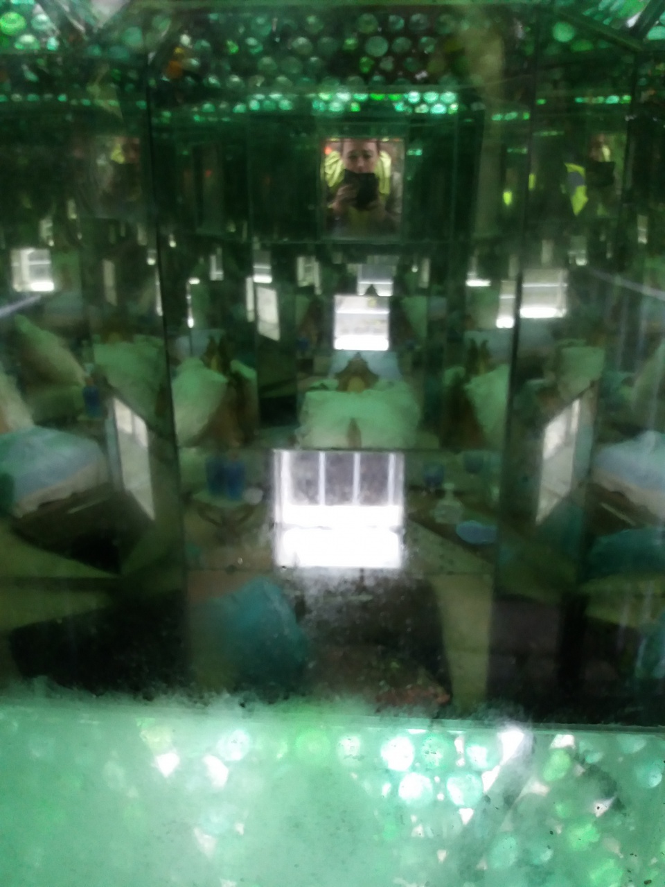 20180410_121152 20180410_121152