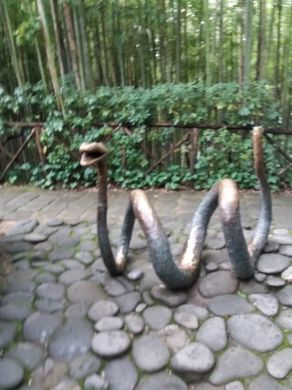 20180410_121248 20180410_121248