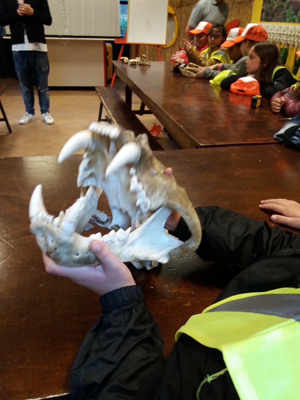 20180410_145853 20180410_145853