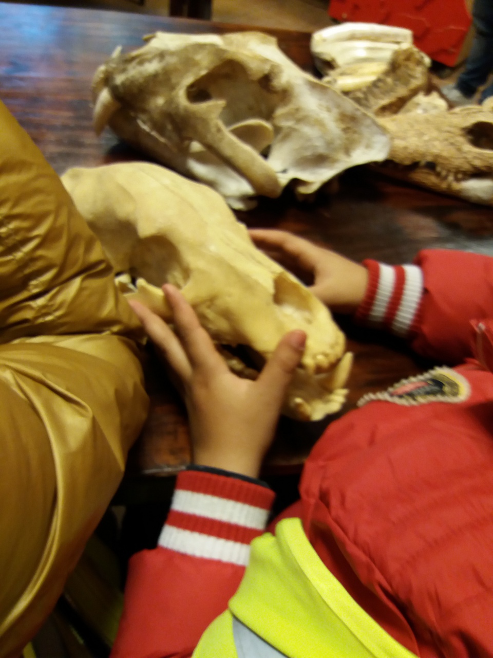 20180410_150522 20180410_150522