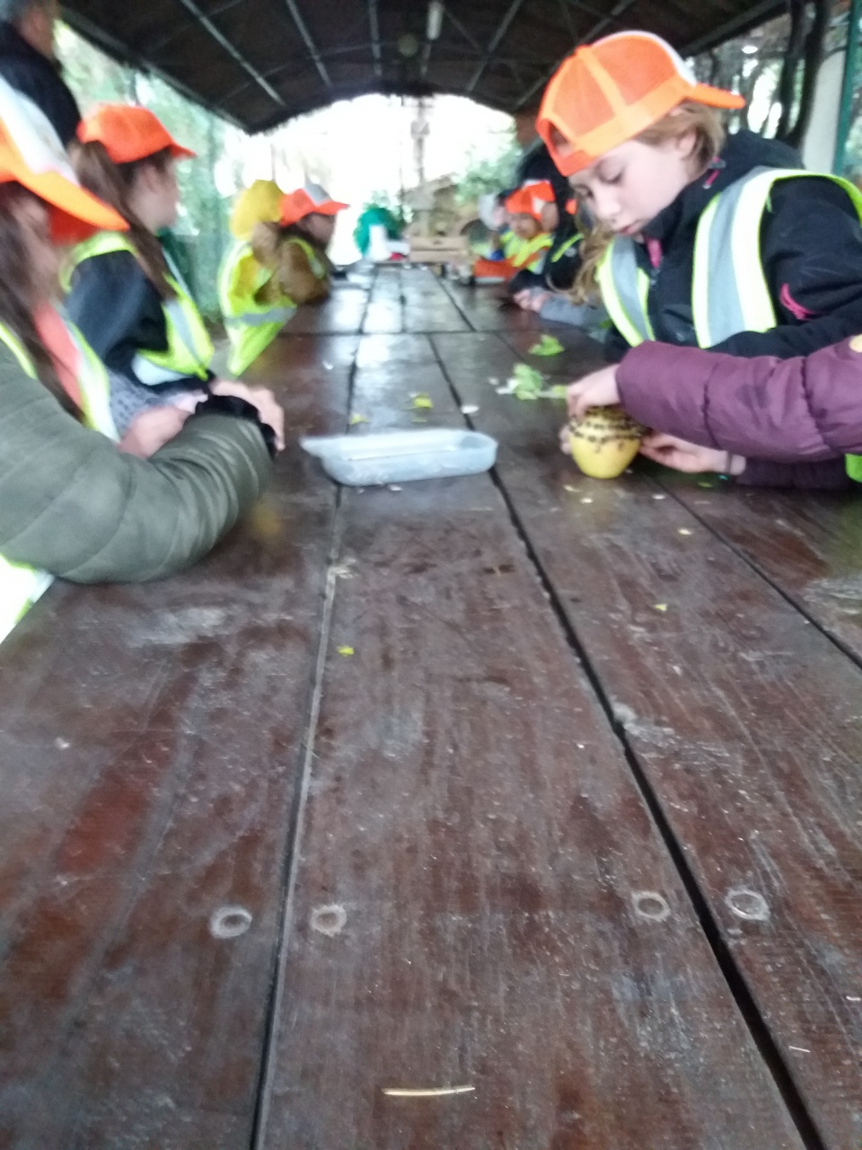 20180410_152733 20180410_152733