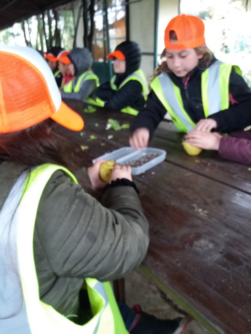 20180410_152741 20180410_152741