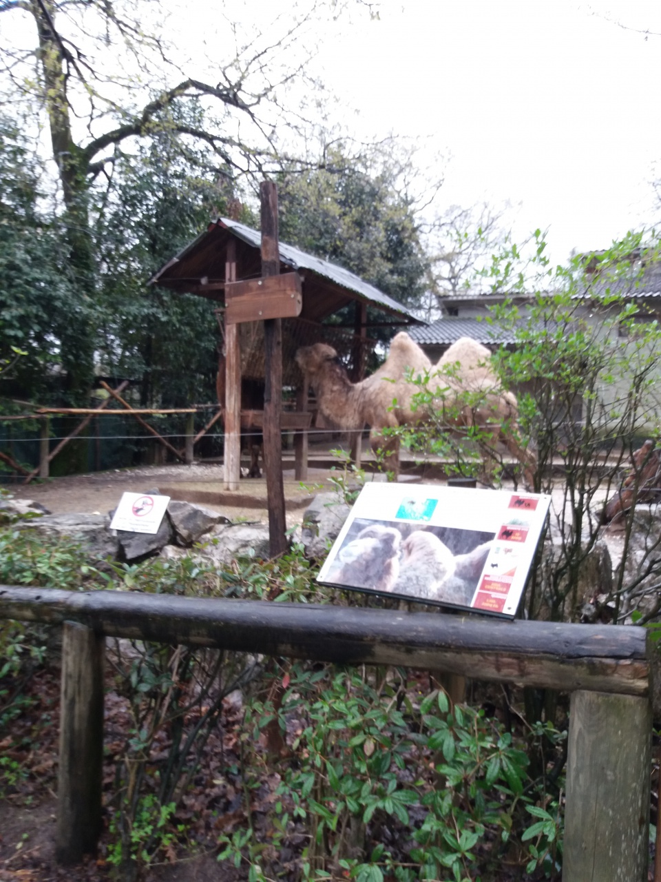 20180410_155504 20180410_155504