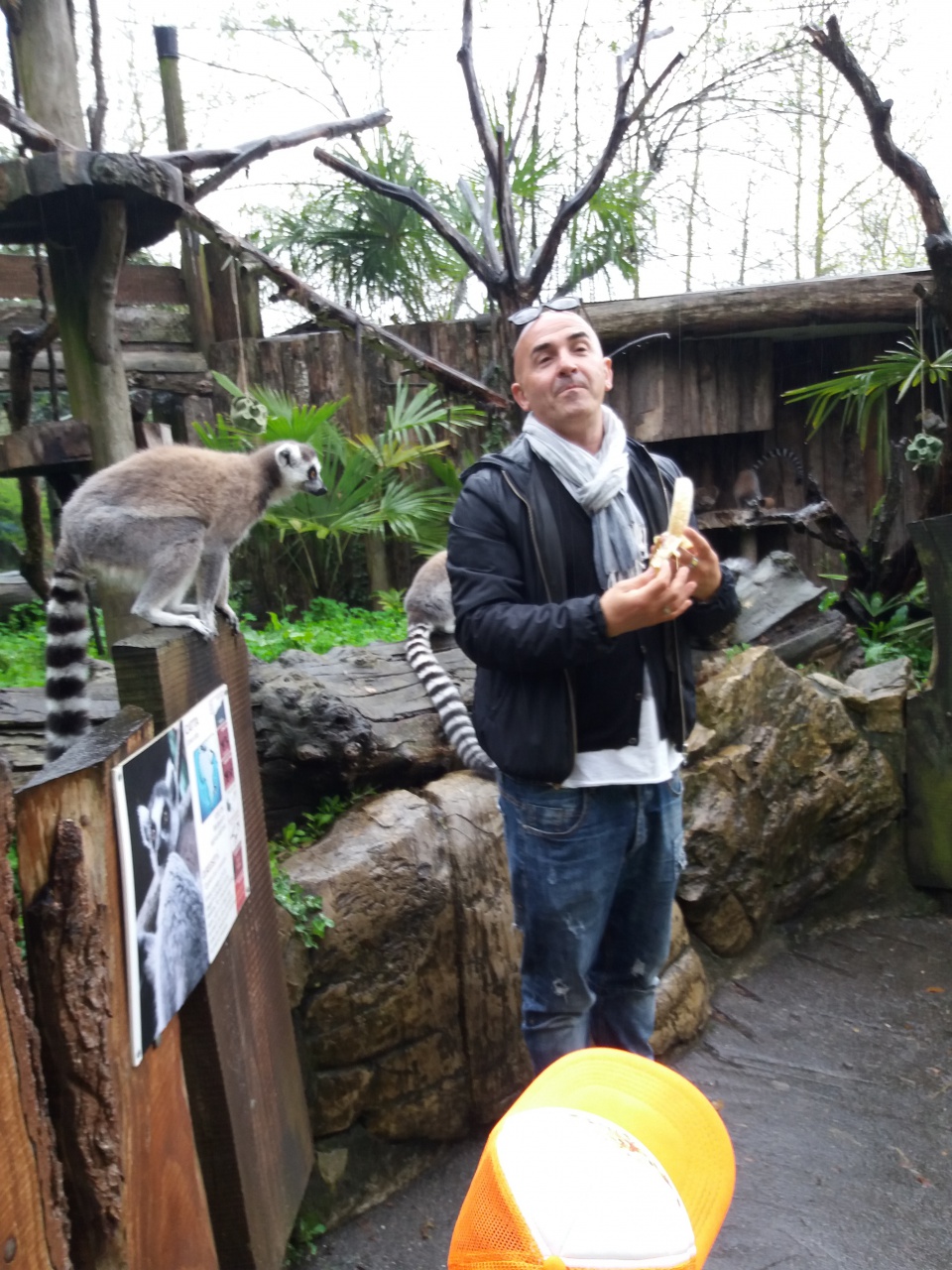 20180410_160304 20180410_160304