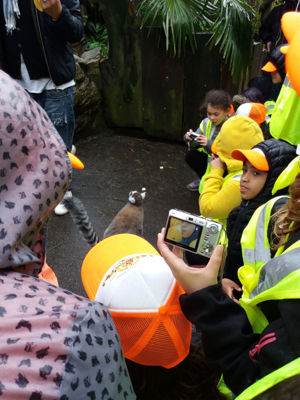 20180410_160344 20180410_160344