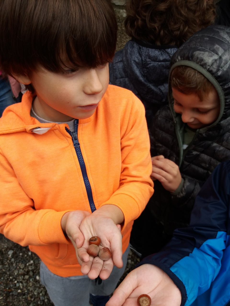 20181008_105257 20181008_105257