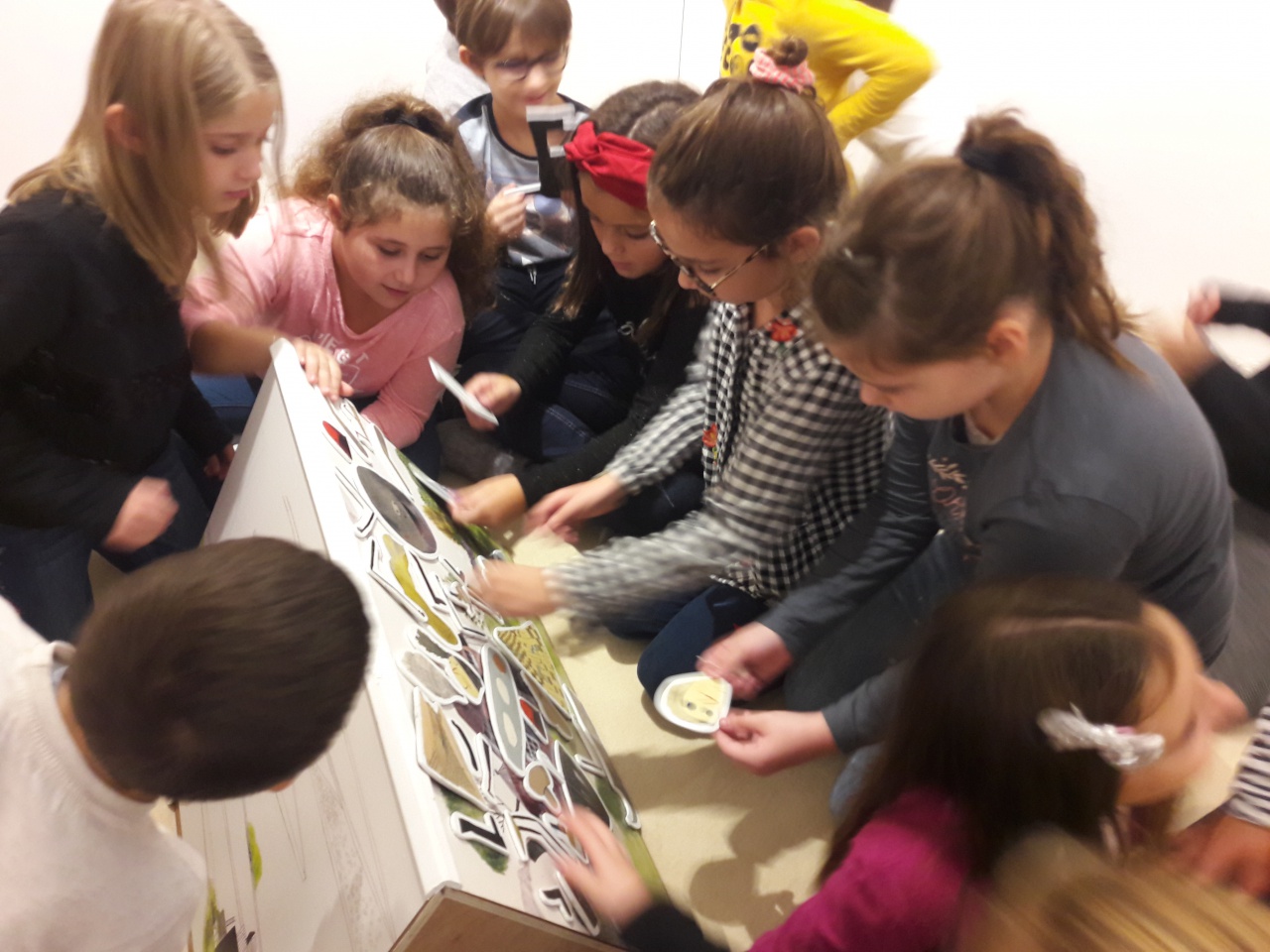 20181108_144432 20181108_144432