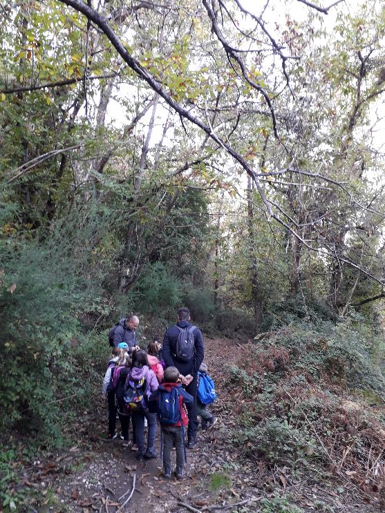 35. rientrimu 35. rientrimu