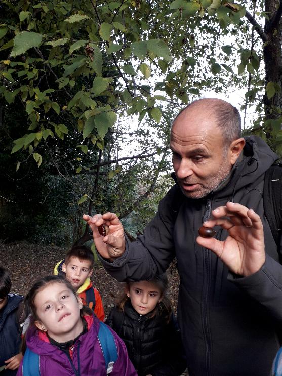 33. castagna è ghjanda 33. castagna è ghjanda