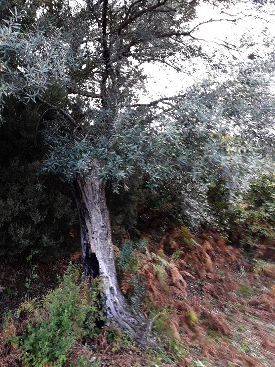 20.un alivu 20.un alivu