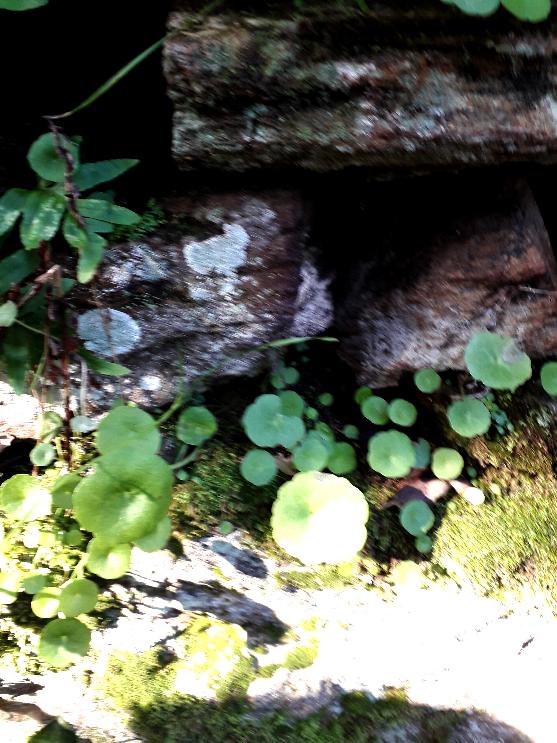 16. a baiocca 16. a baiocca