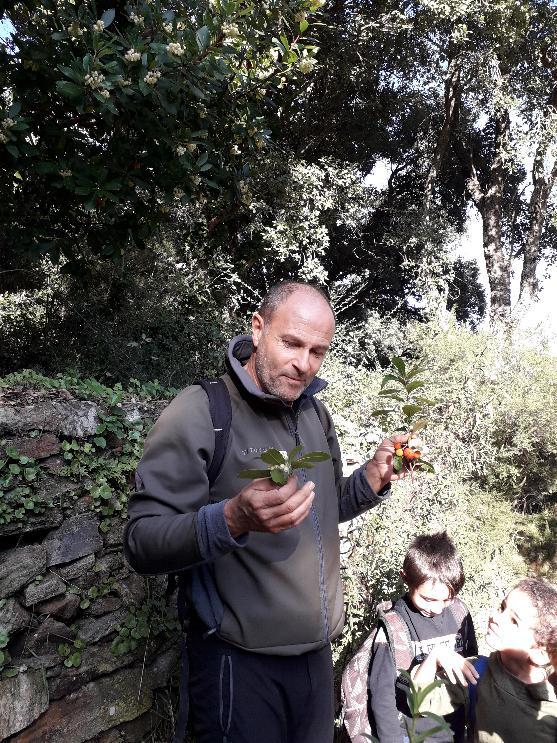 13.i so fiori è i so bachi rossi 13.i so fiori è i so bachi rossi