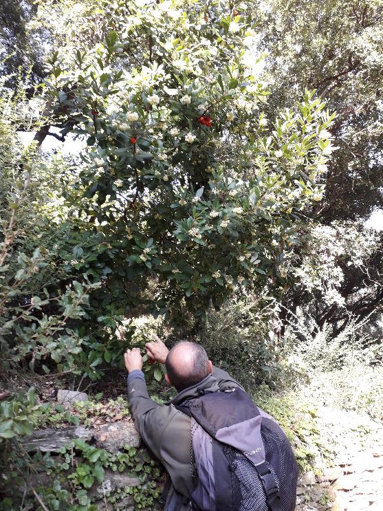 12.l'albitru 12.l'albitru