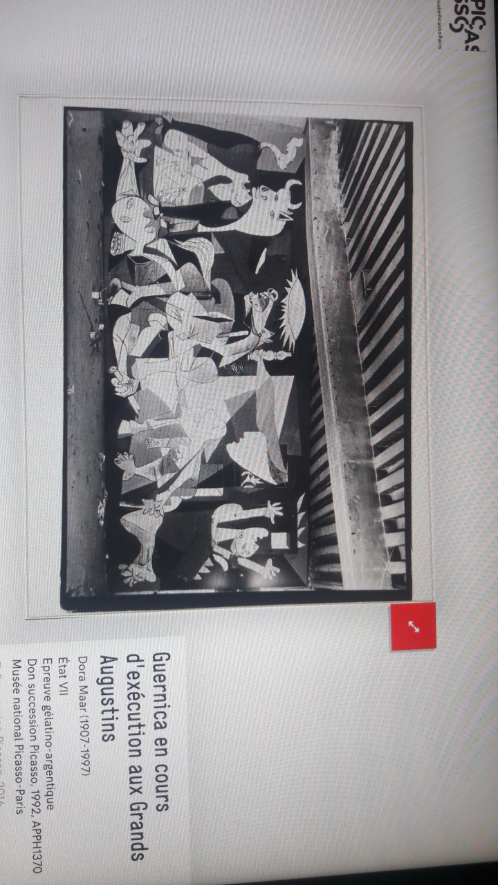 20181206_100806 20181206_100806