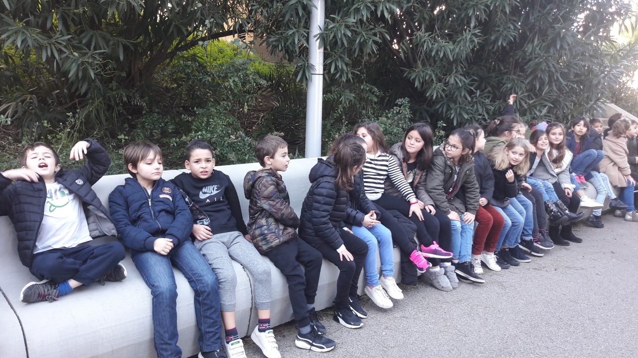 20181211_095223 20181211_095223