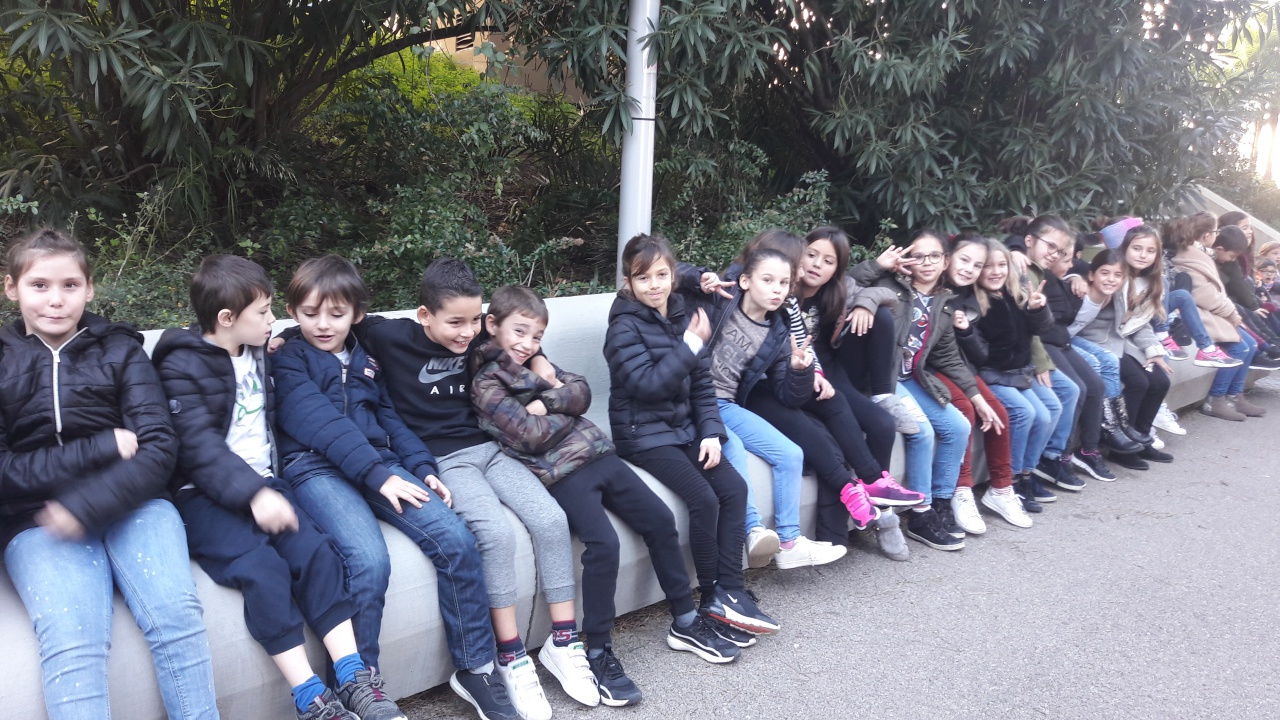 20181211_095254 20181211_095254