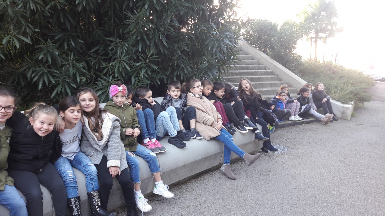 20181211_095300 20181211_095300