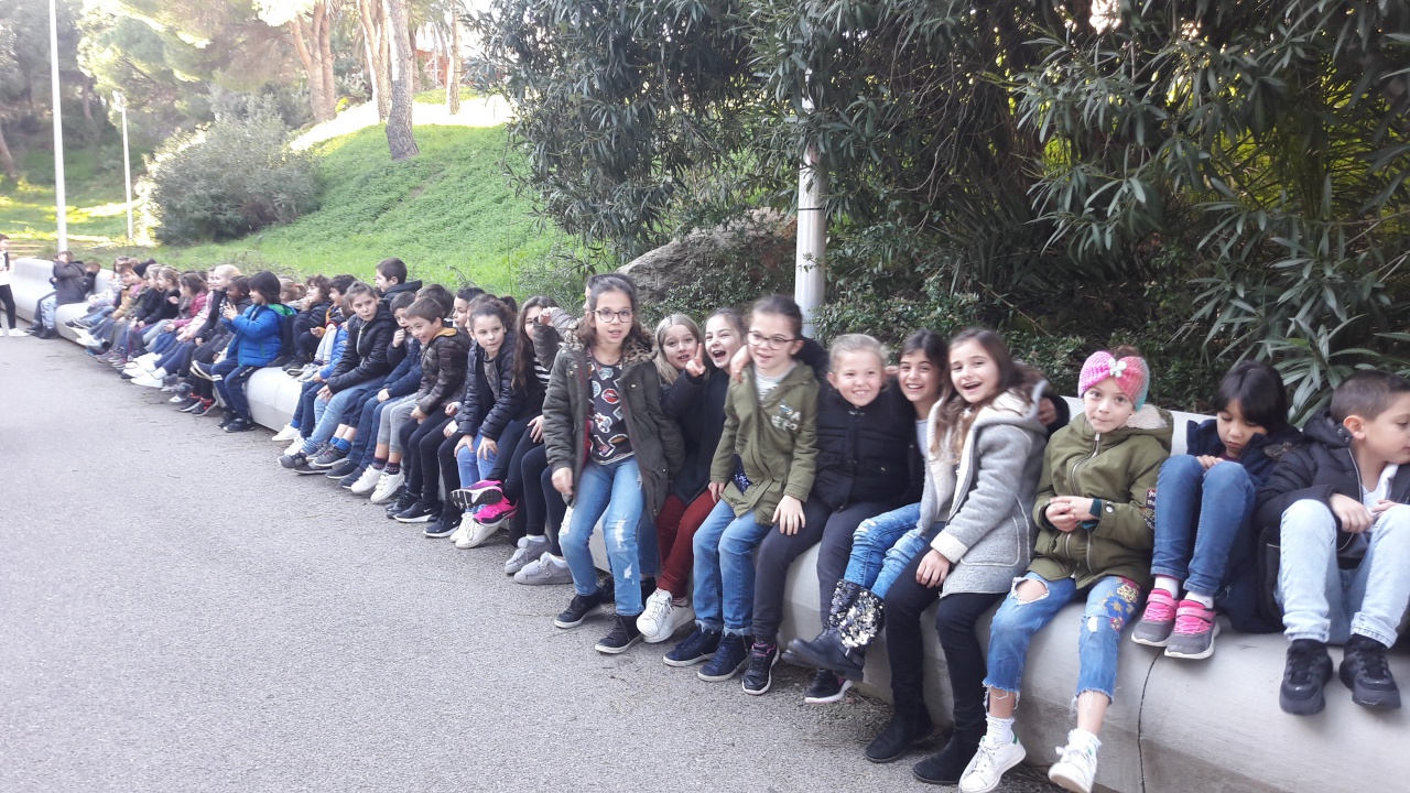 20181211_095309 20181211_095309