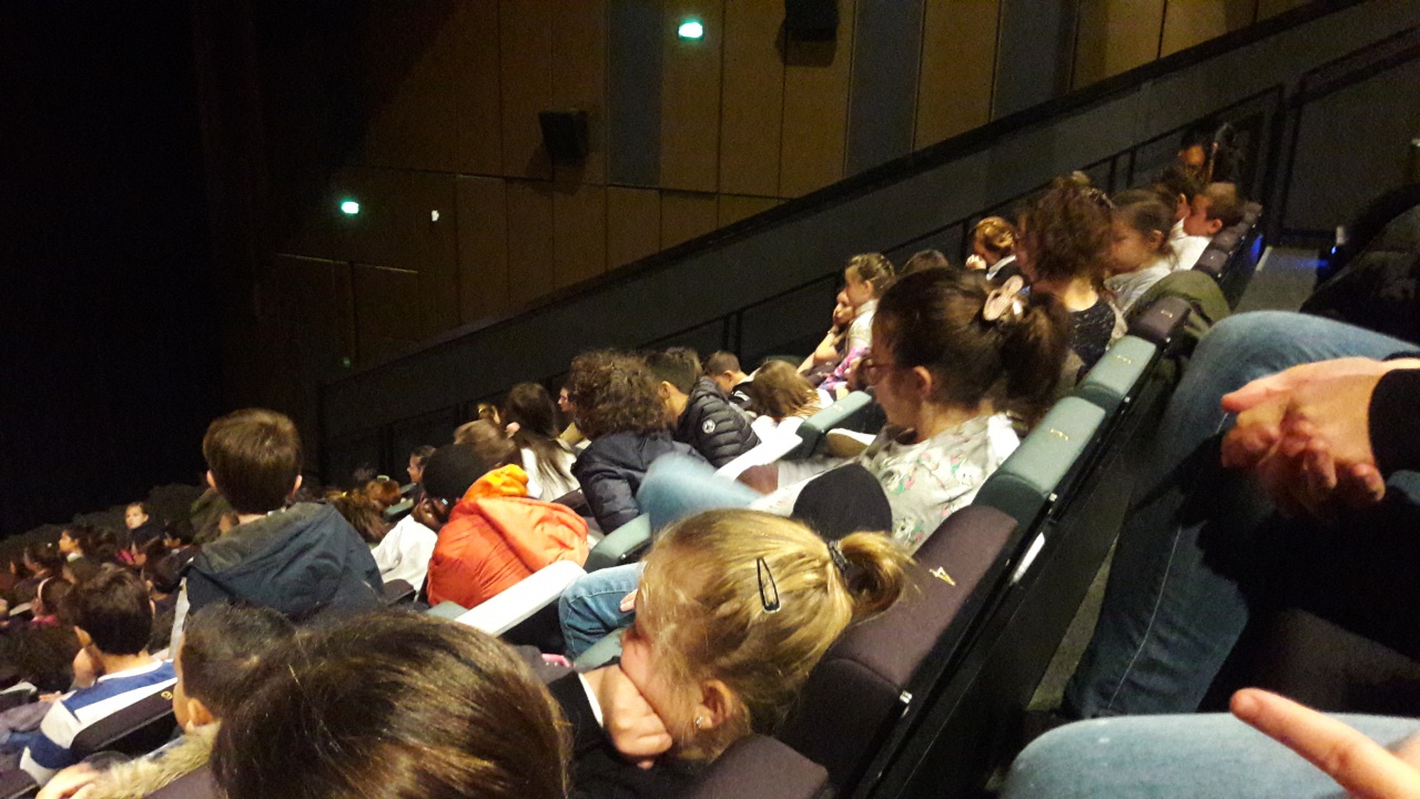 20181211_110801 20181211_110801