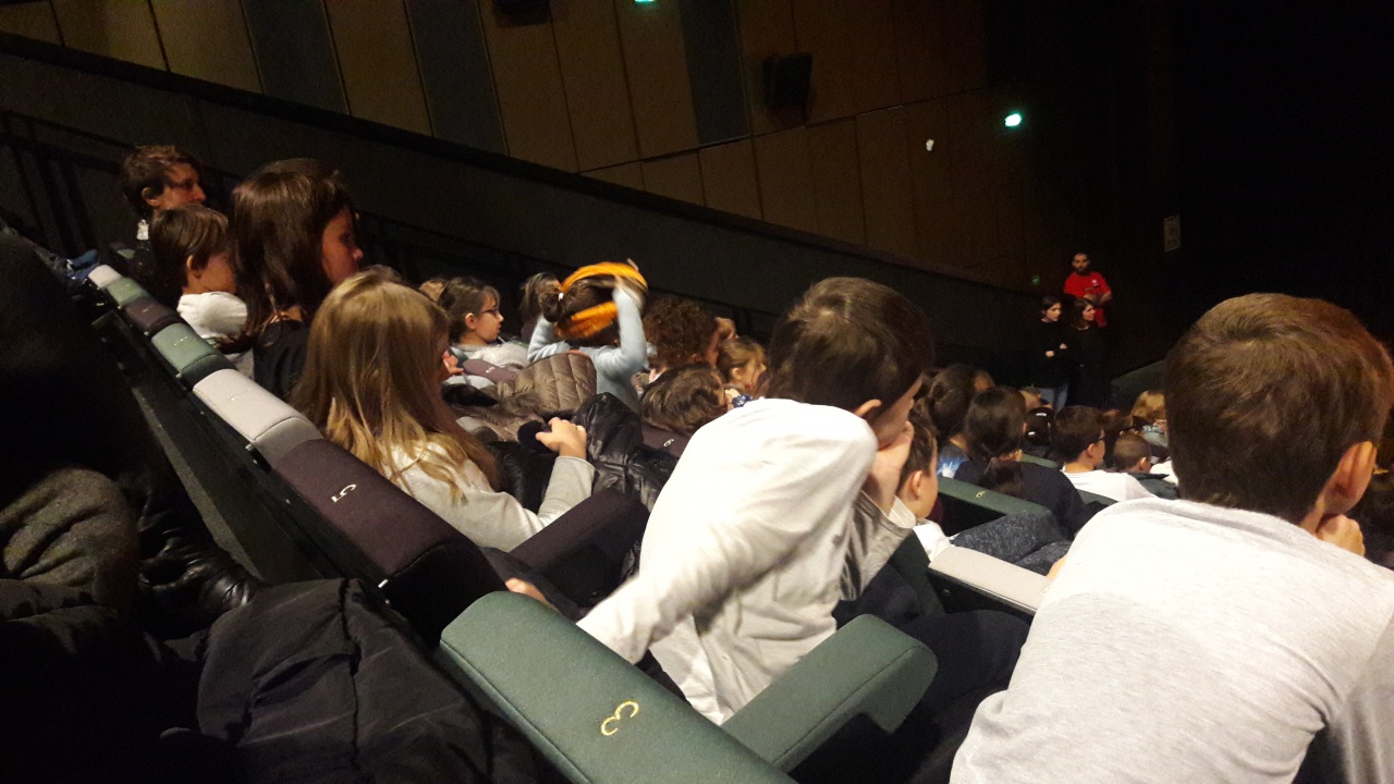 20181211_110806 20181211_110806