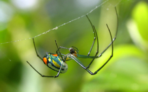 Entourez-vous de talents