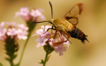 Gérer efficacement votre contenu