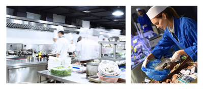 Le transport frigorifique, un rôle majeur dans l’approvisionnement et la sécurité alimentaire