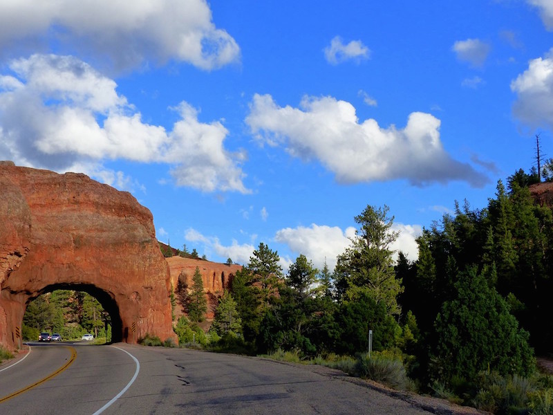 L’Utah où la couleur rouge domine. La nature est superbe et le Parc de Zion offre le spectacle d’une gorge somptueuse. Une route en lacets monte à 2000 mètres et les arrêts-photos sont fréquents en raison des paysages sculptés au cours de millions d’années - Parc de Zion - Utah © Paris Tribune Archives