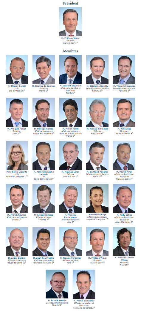 Les 27 députés du groupe UDI de la XIVe législature © capture d'écran Assemblée nationale