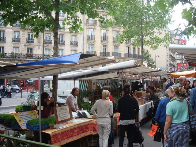 C’est vert et c’est bio, le jus d’herbe frais fait fureur !