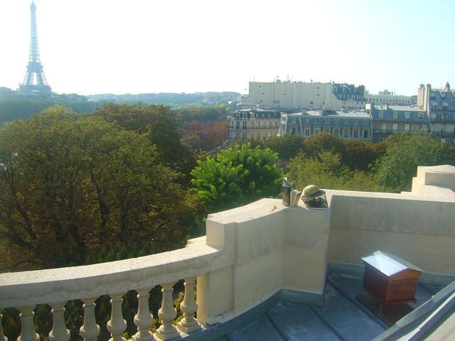 Les nouvelles occupantes du Grand Palais